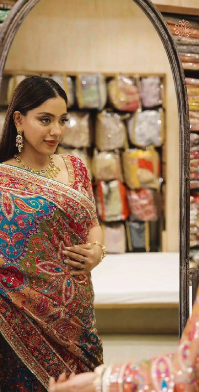Premium Soft Chinnon Saree